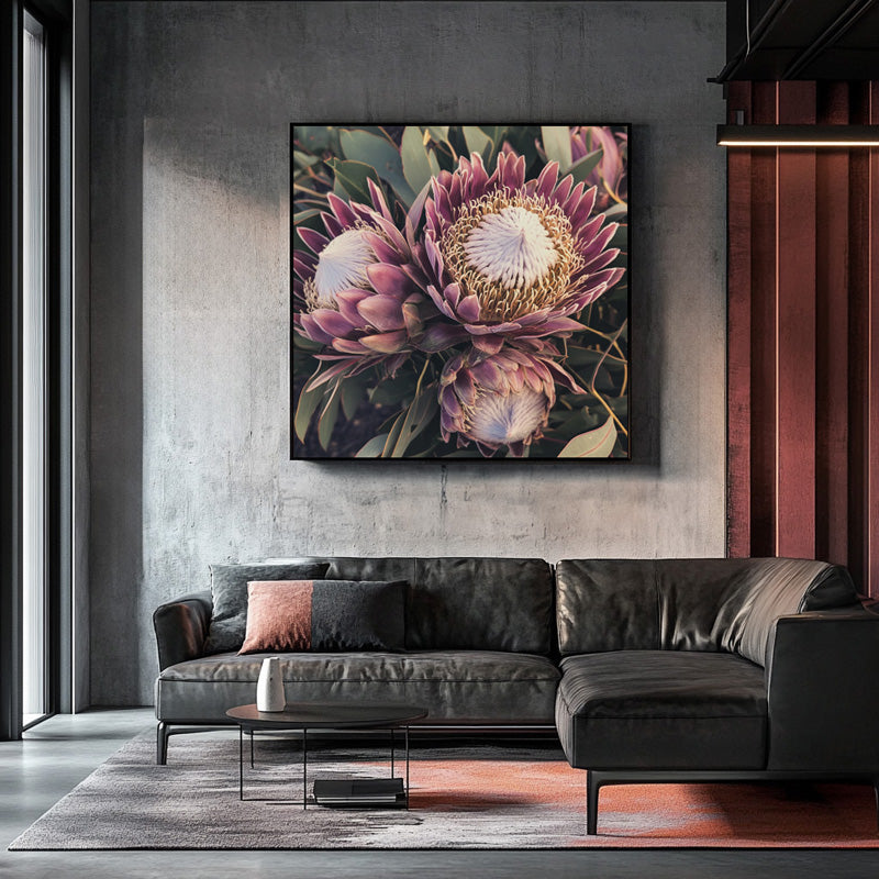 PURPLE KING PROTEA