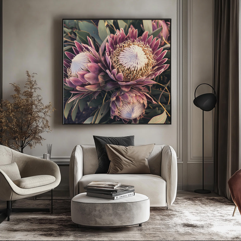 PURPLE KING PROTEA