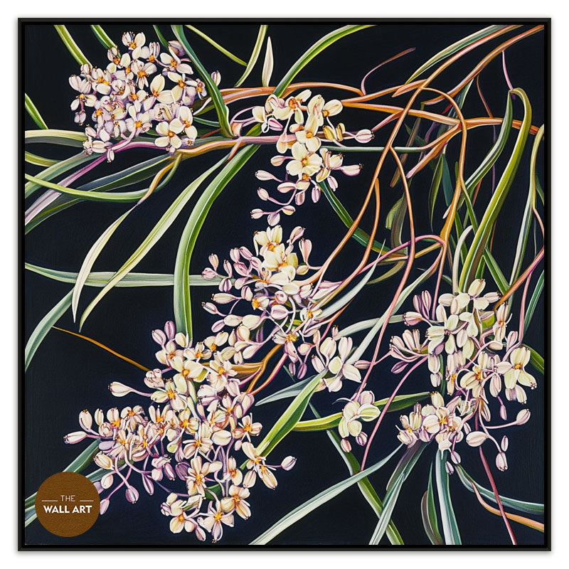 PURPLE OZOTHAMNUS