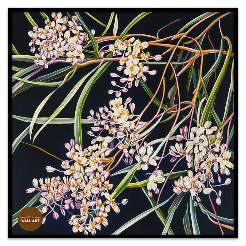 PURPLE OZOTHAMNUS