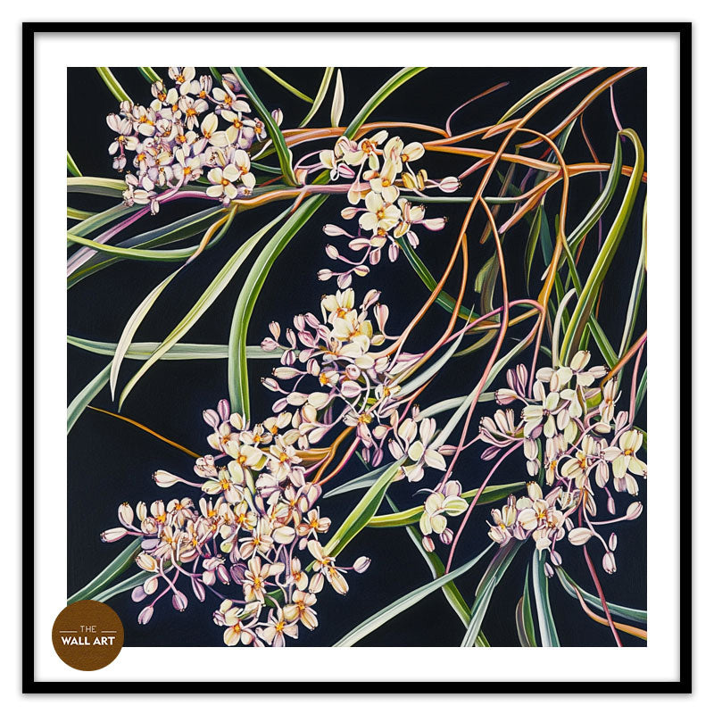 PURPLE OZOTHAMNUS