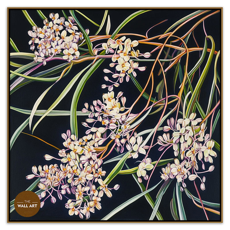 PURPLE OZOTHAMNUS