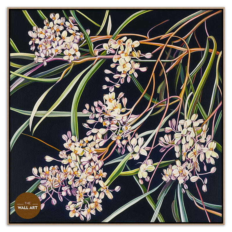 PURPLE OZOTHAMNUS