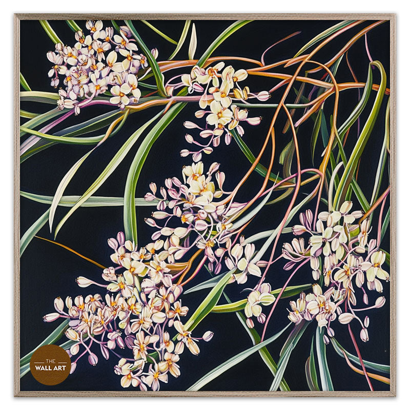PURPLE OZOTHAMNUS