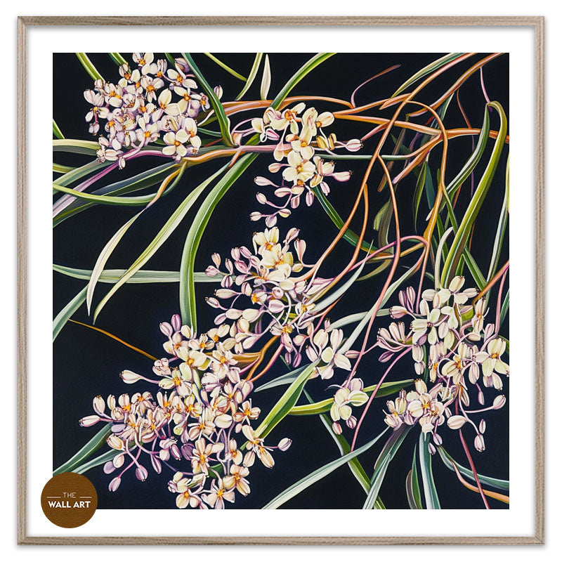PURPLE OZOTHAMNUS