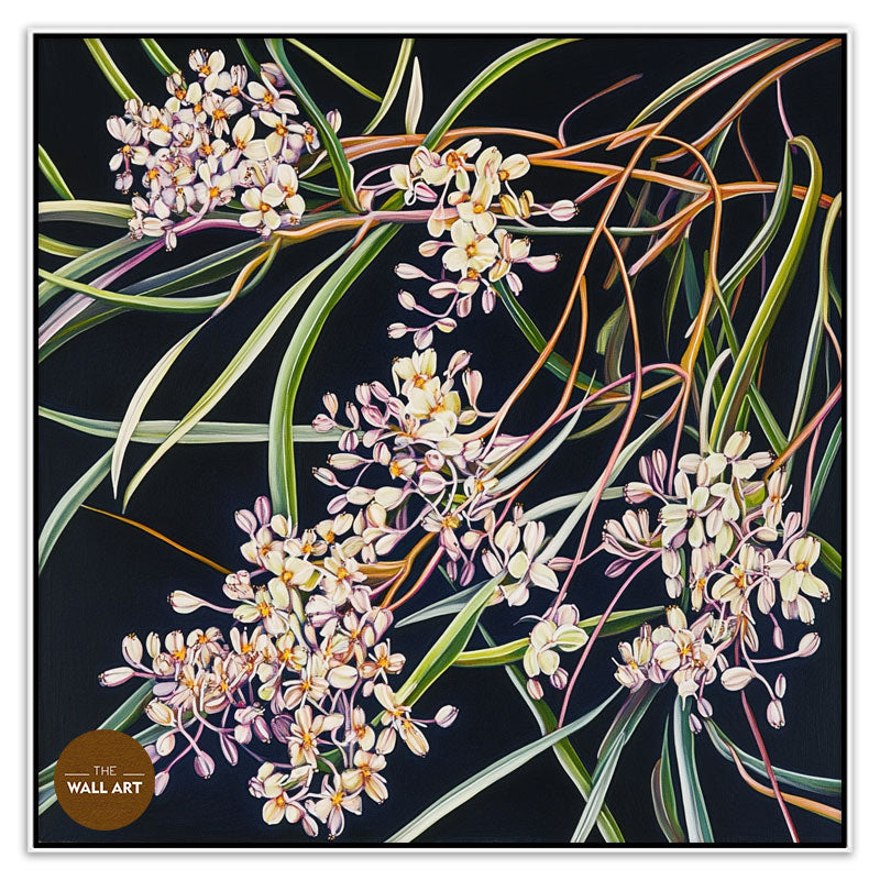 PURPLE OZOTHAMNUS