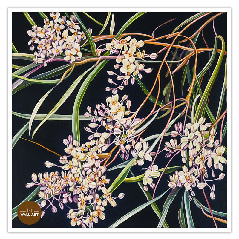 PURPLE OZOTHAMNUS