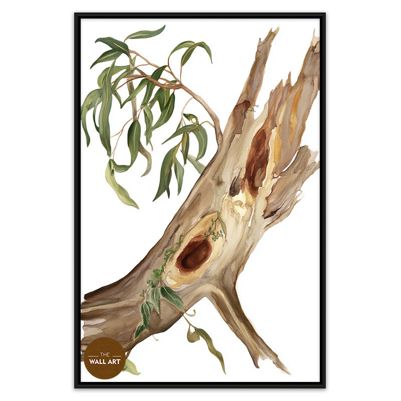 RED GUM BODY