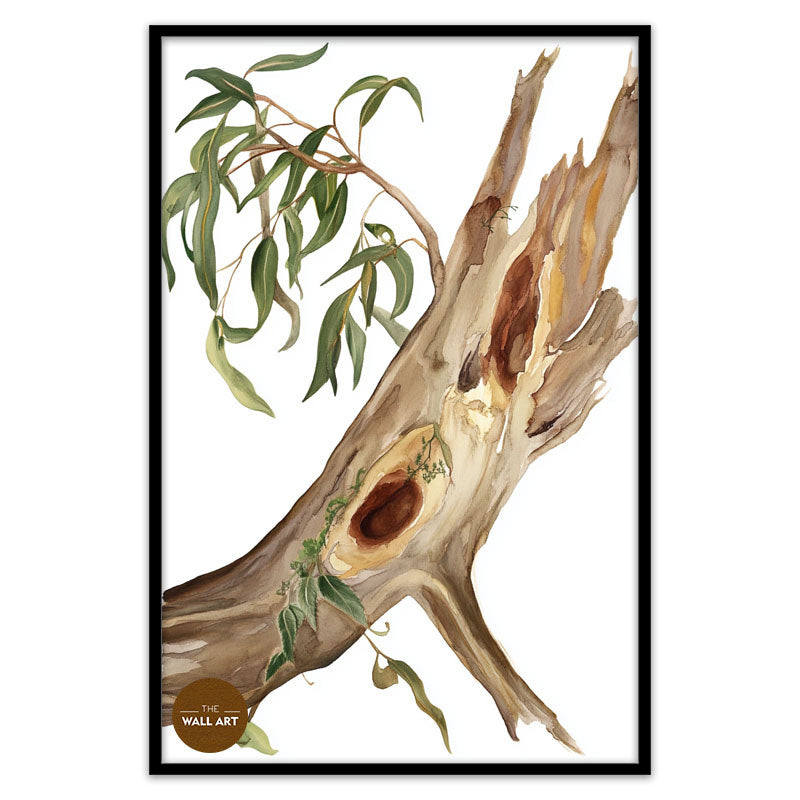 RED GUM BODY