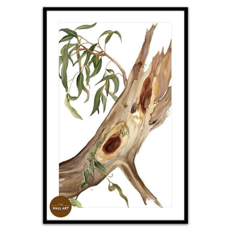 RED GUM BODY