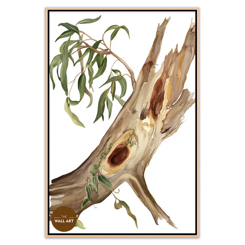 RED GUM BODY