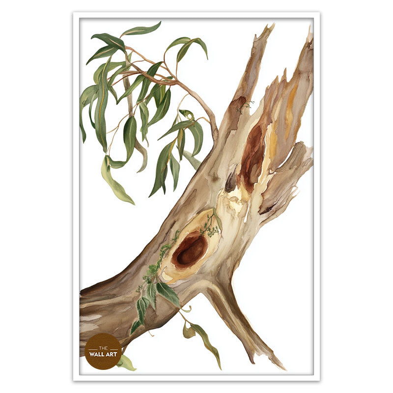 RED GUM BODY