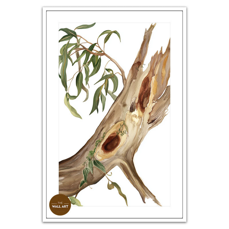 RED GUM BODY