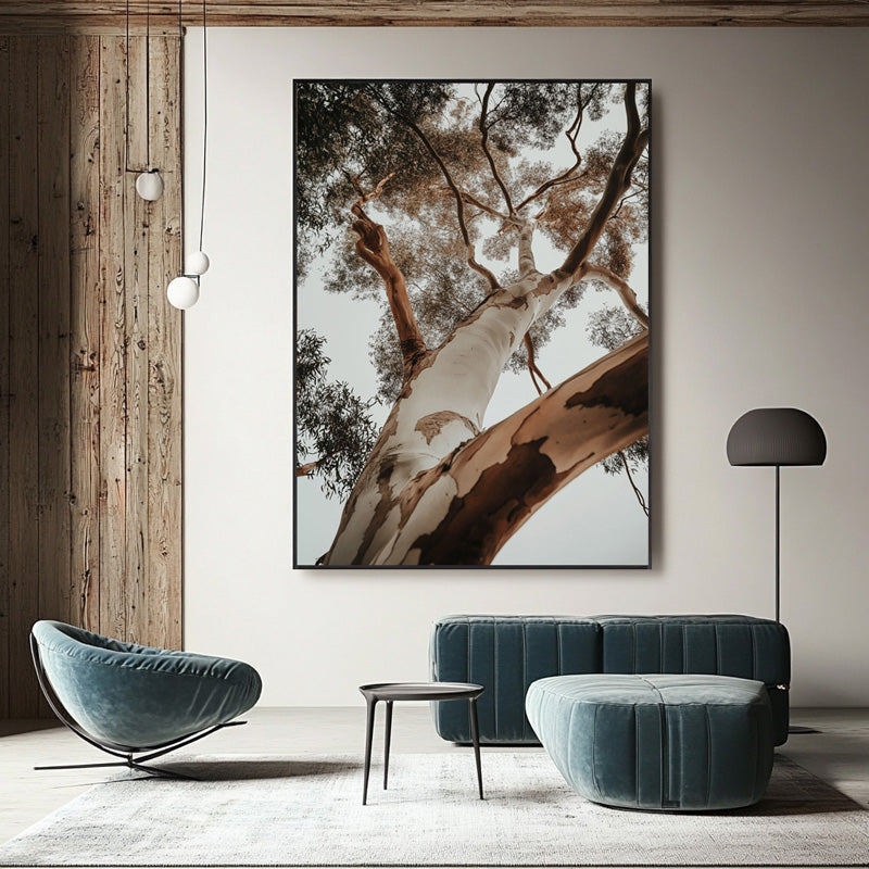 RED GUM TREE