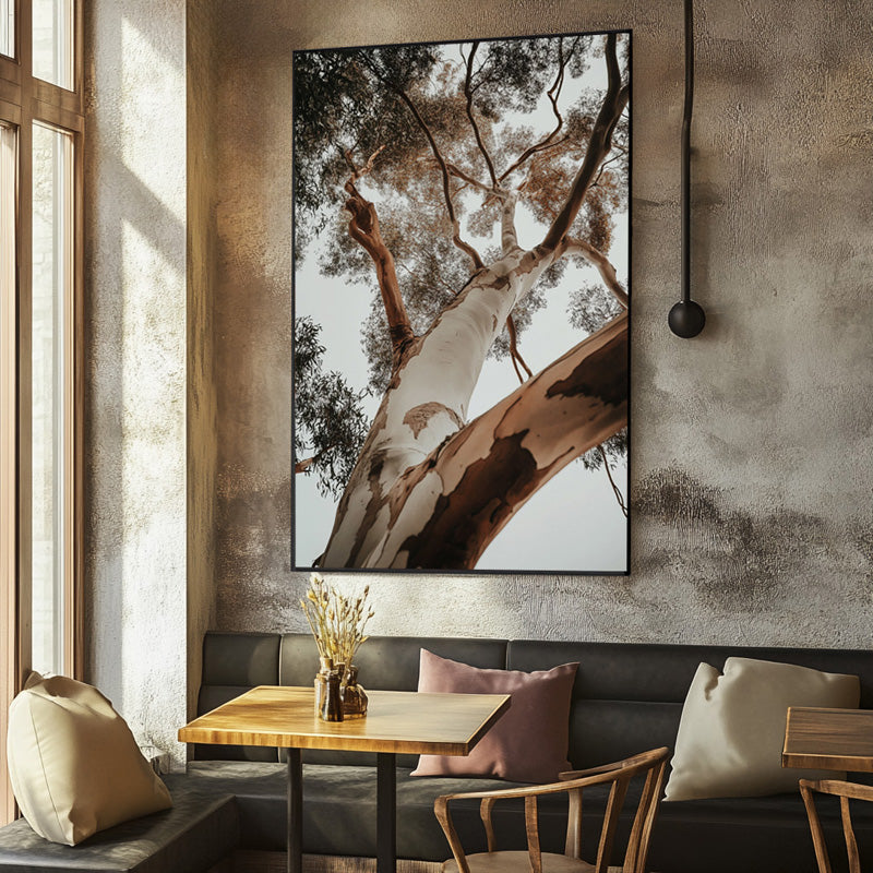 RED GUM TREE
