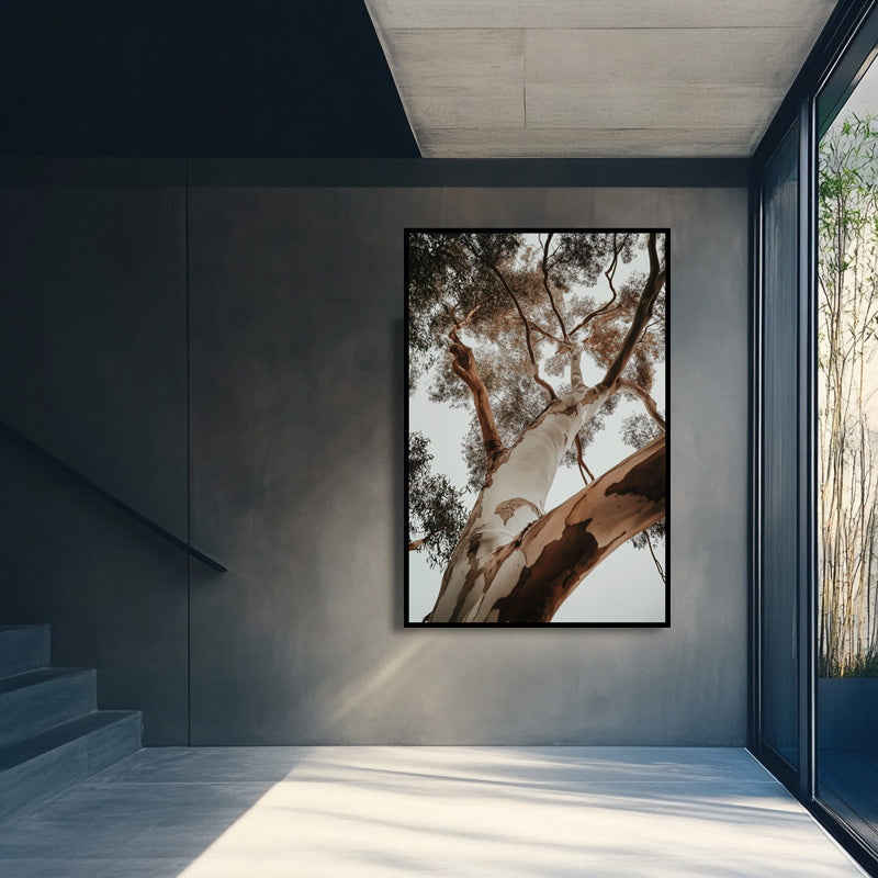 RED GUM TREE