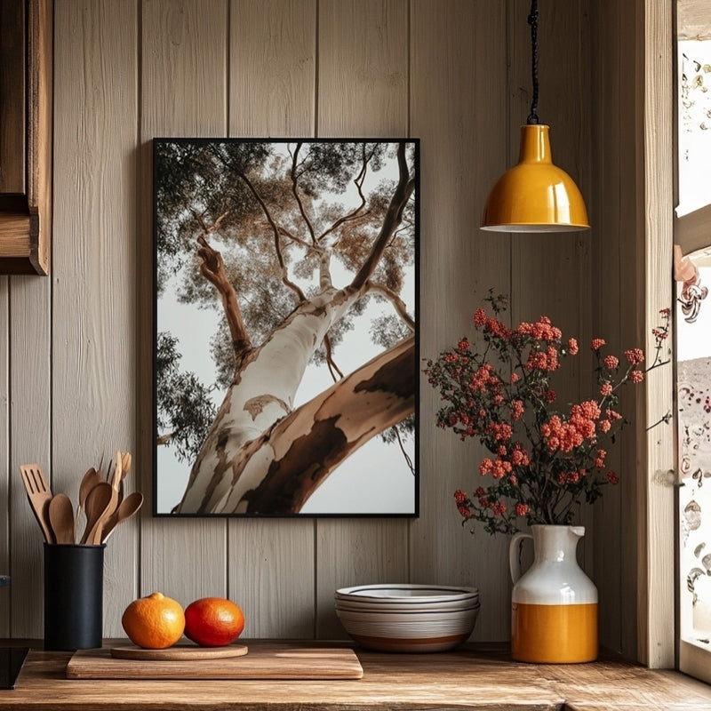 RED GUM TREE