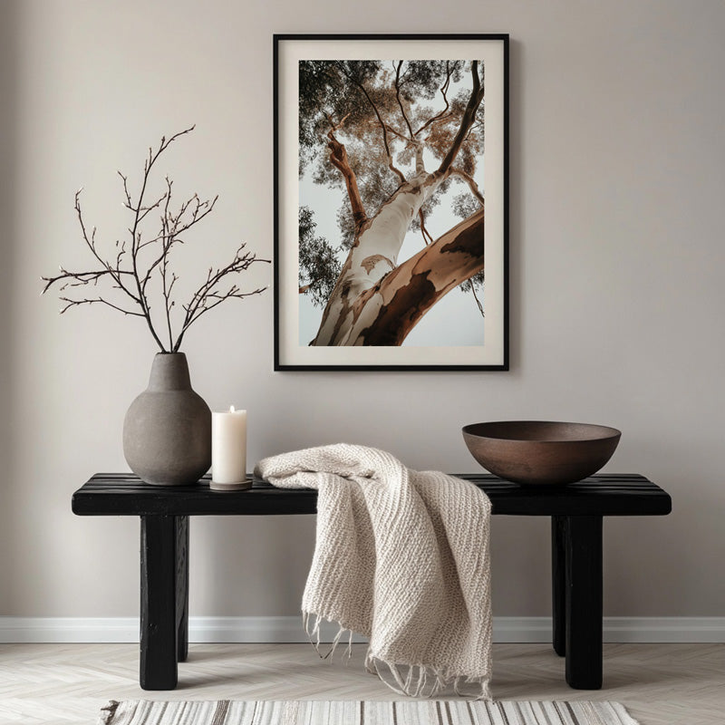 RED GUM TREE