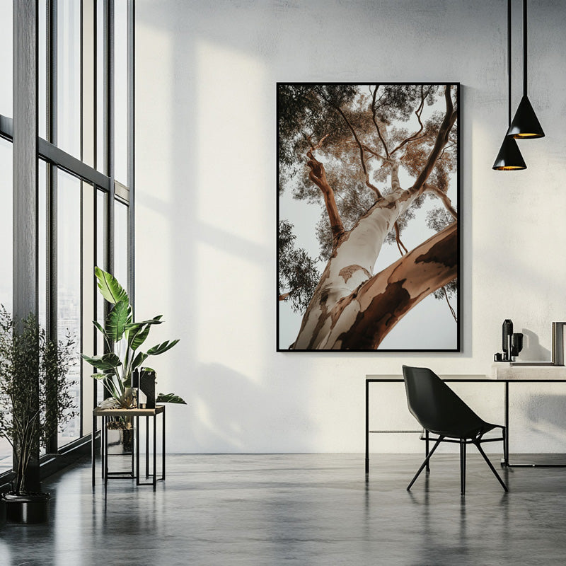 RED GUM TREE