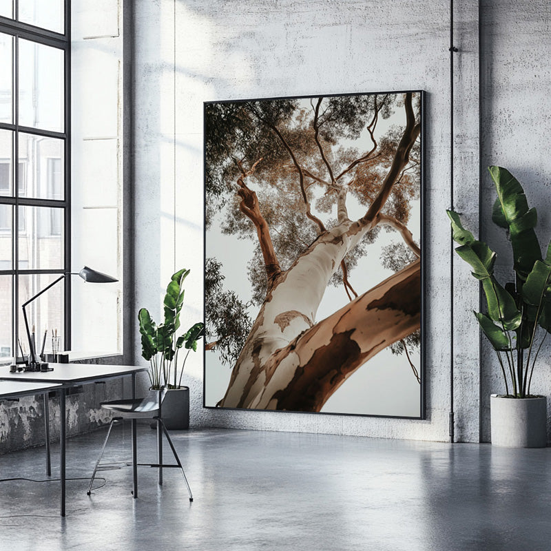 RED GUM TREE