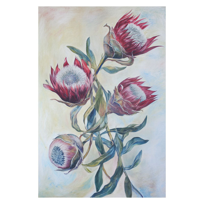 RED KING PROTEA