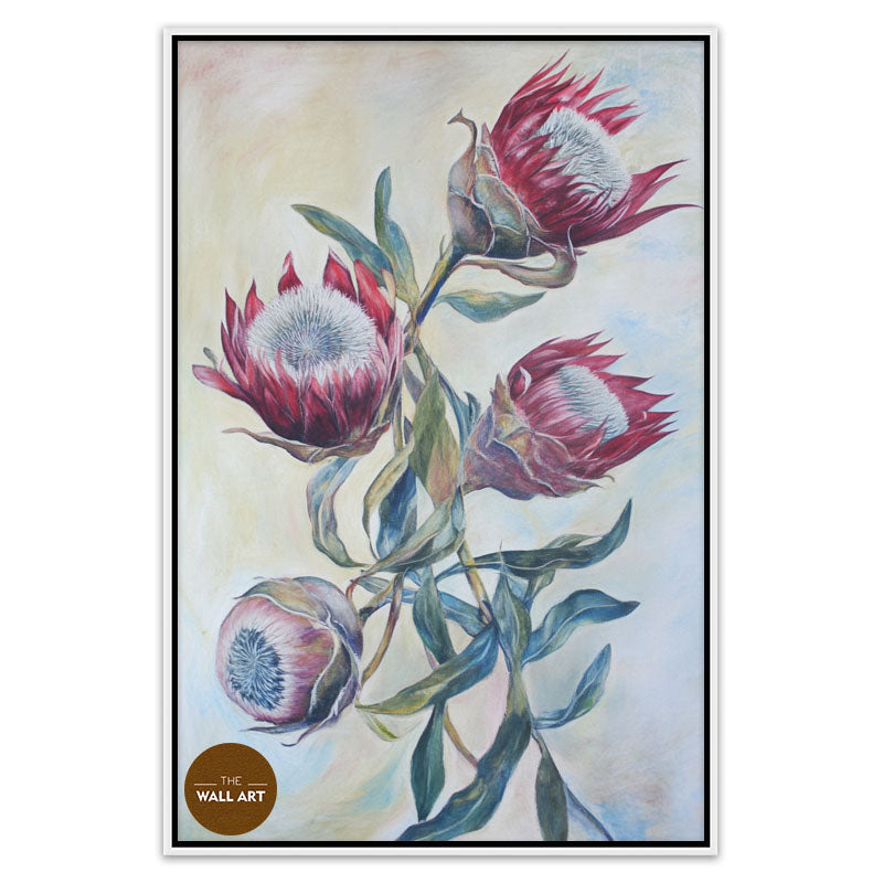 RED KING PROTEA