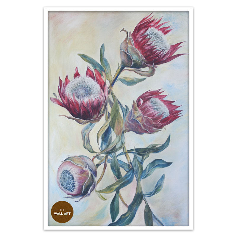 RED KING PROTEA