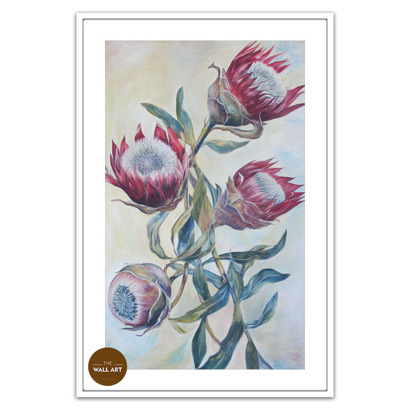 RED KING PROTEA