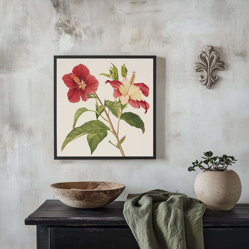RED NATIVE HIBISCUS