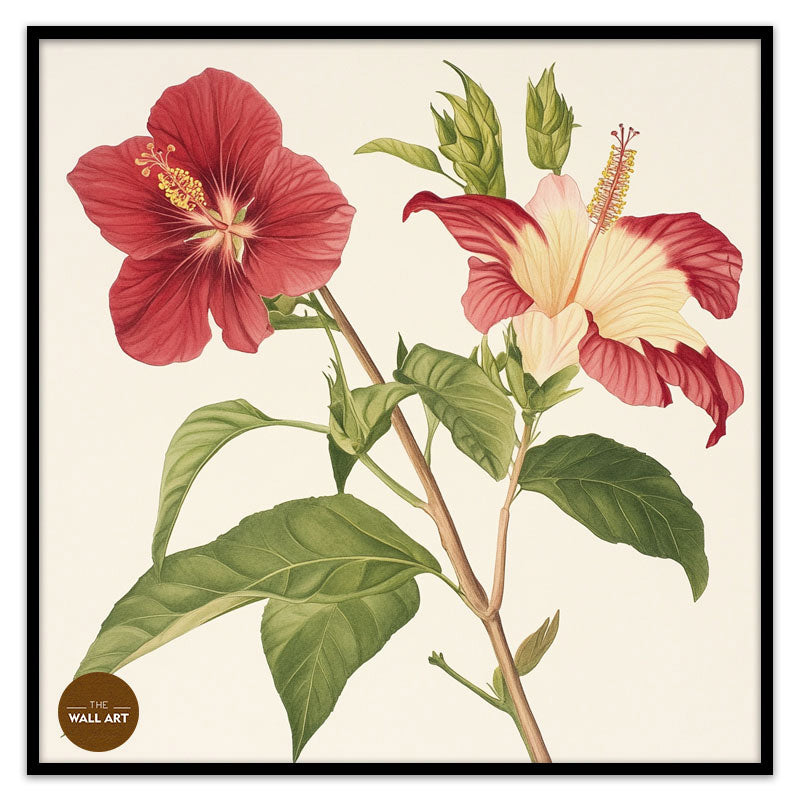 RED NATIVE HIBISCUS