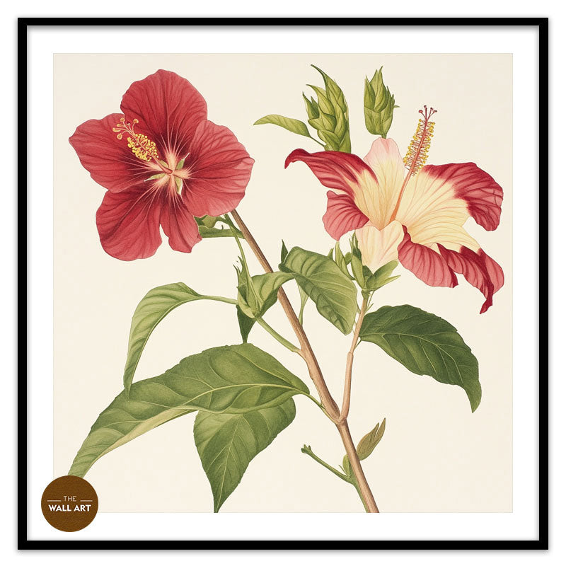 RED NATIVE HIBISCUS