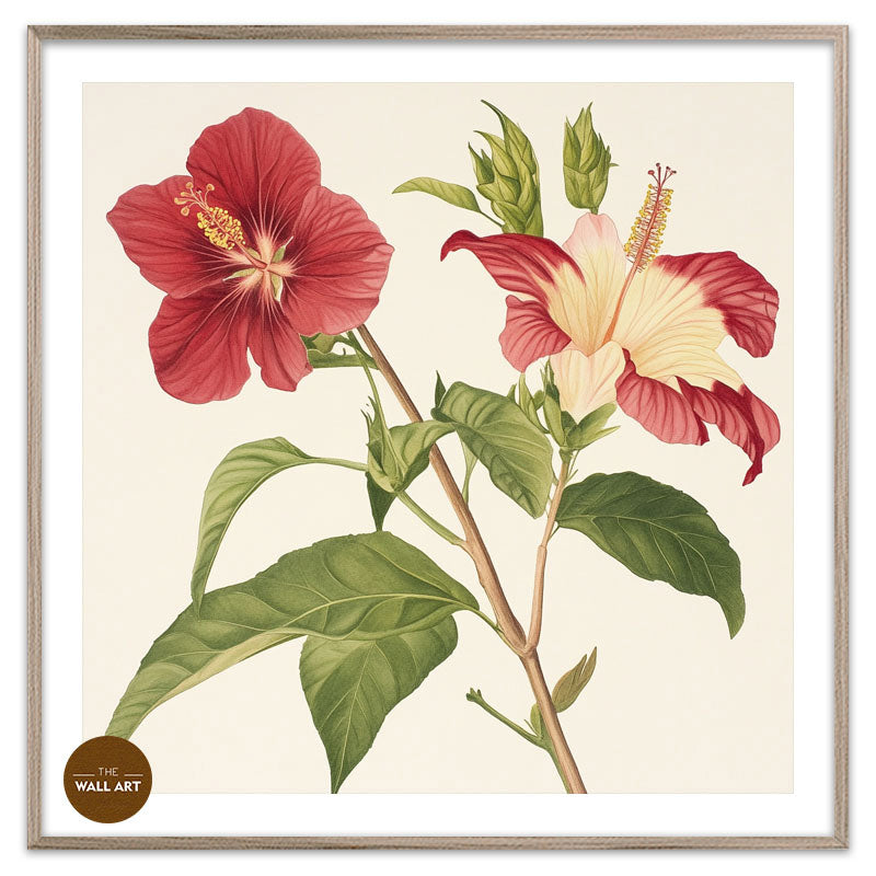 RED NATIVE HIBISCUS