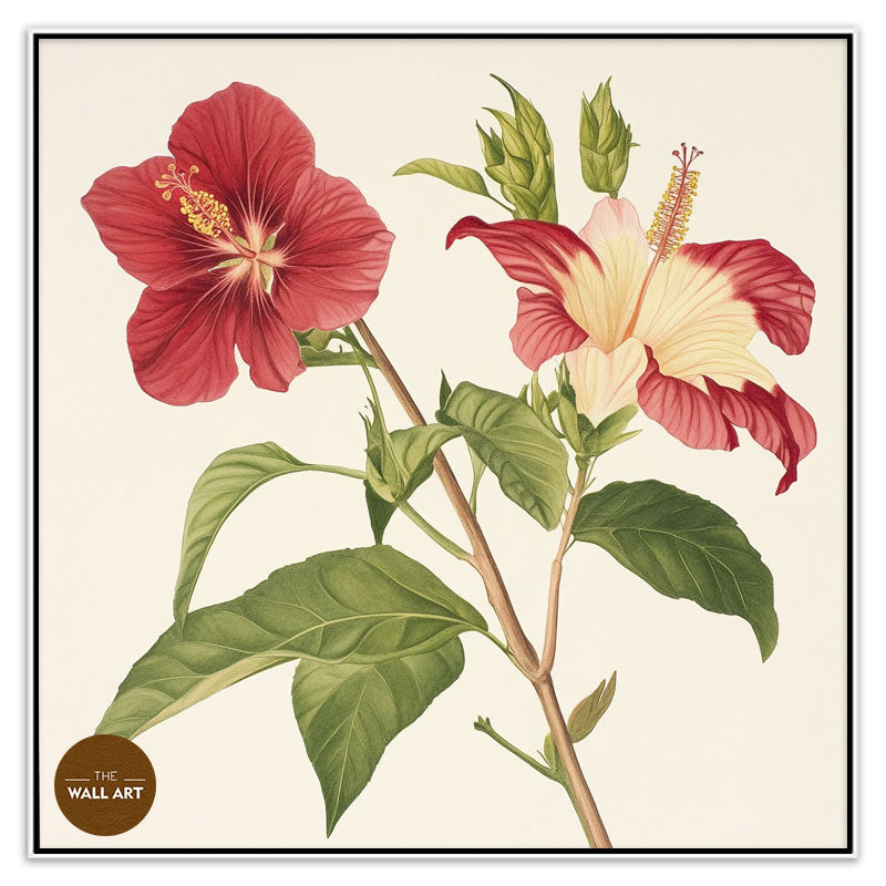 RED NATIVE HIBISCUS