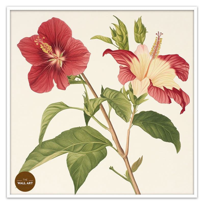 RED NATIVE HIBISCUS