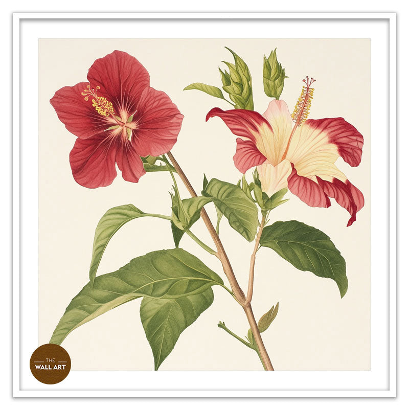 RED NATIVE HIBISCUS