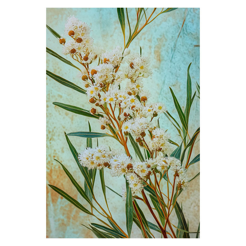 RICE FLOWERS