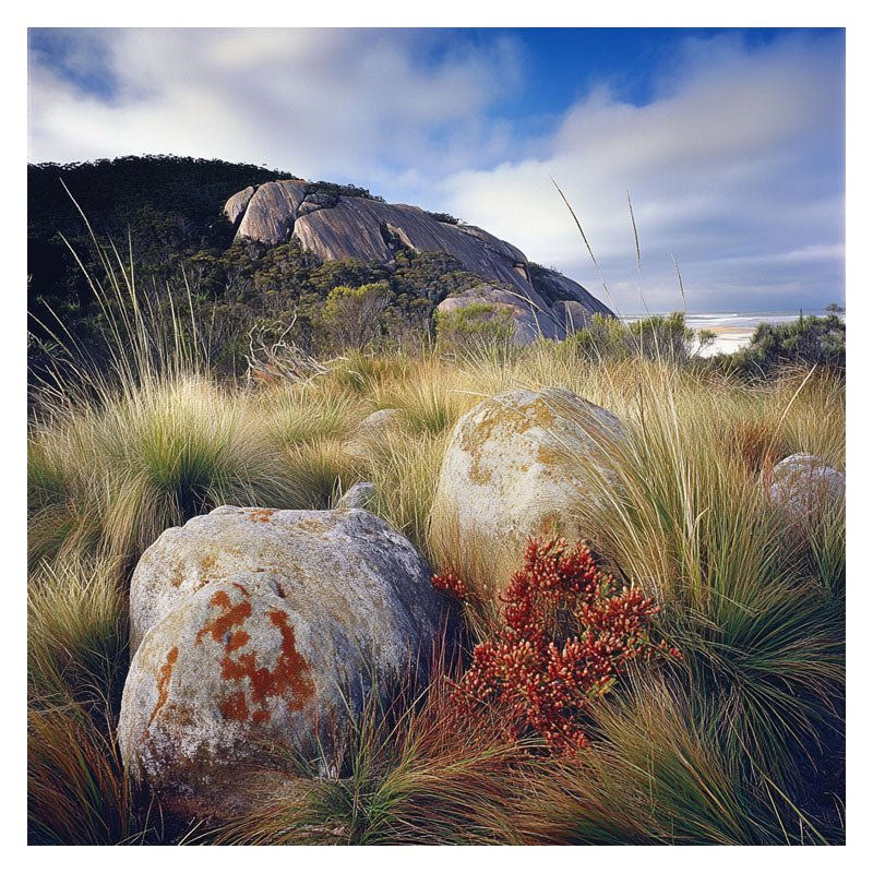 ROCK LAND IN WILSONS PROMONTORY