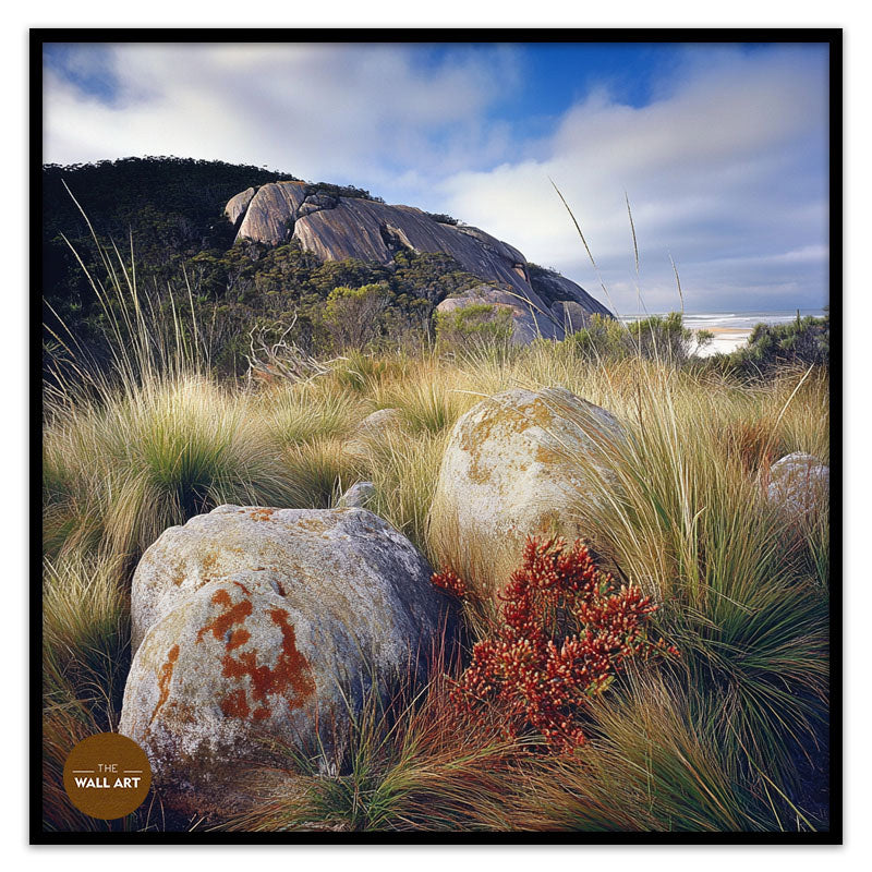 ROCK LAND IN WILSONS PROMONTORY