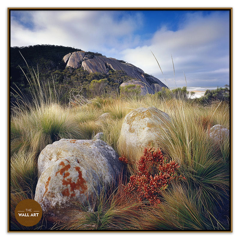 ROCK LAND IN WILSONS PROMONTORY