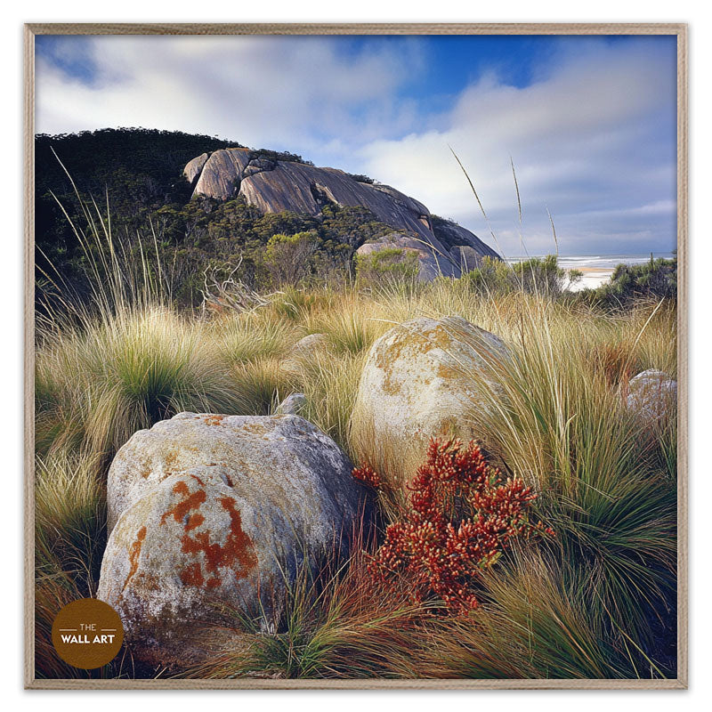 ROCK LAND IN WILSONS PROMONTORY