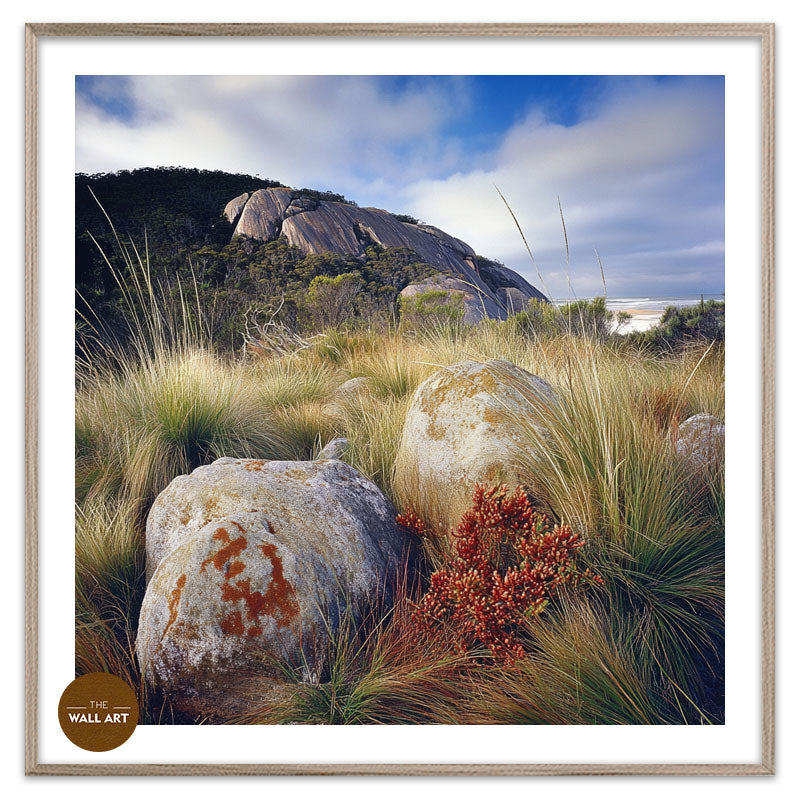 ROCK LAND IN WILSONS PROMONTORY