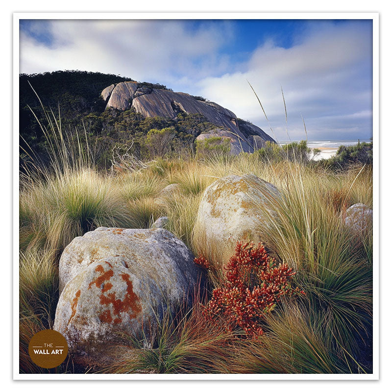 ROCK LAND IN WILSONS PROMONTORY