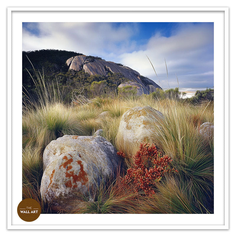 ROCK LAND IN WILSONS PROMONTORY