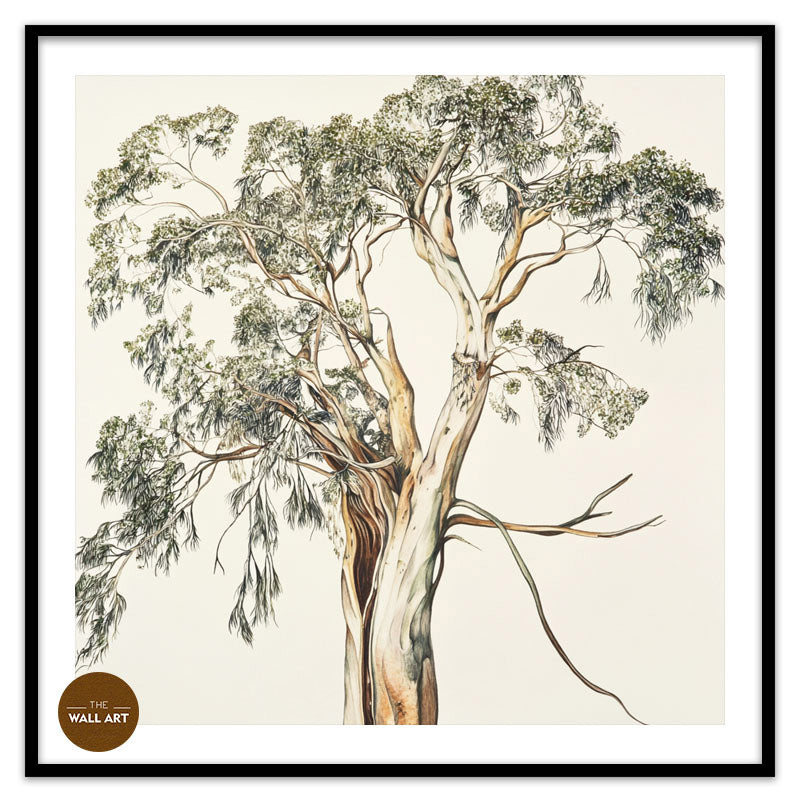 SANTALUM TREE