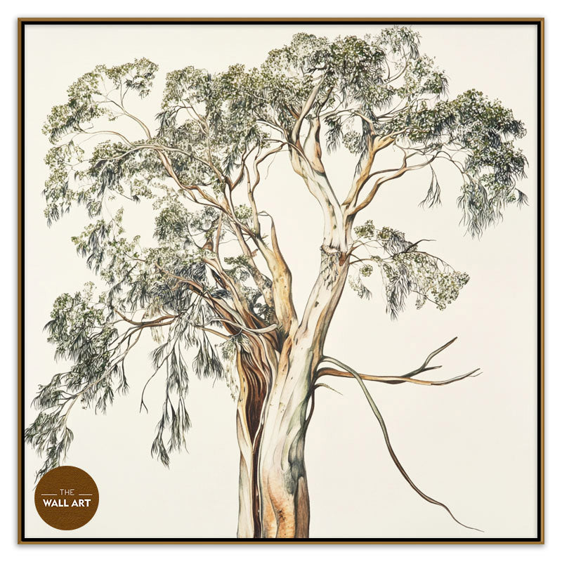 SANTALUM TREE