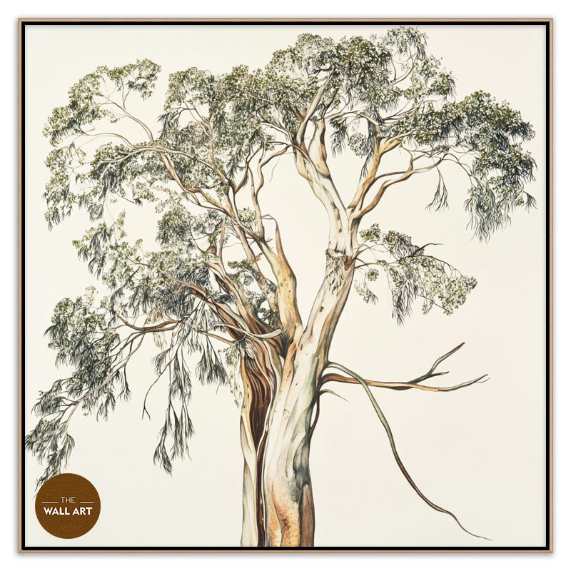 SANTALUM TREE
