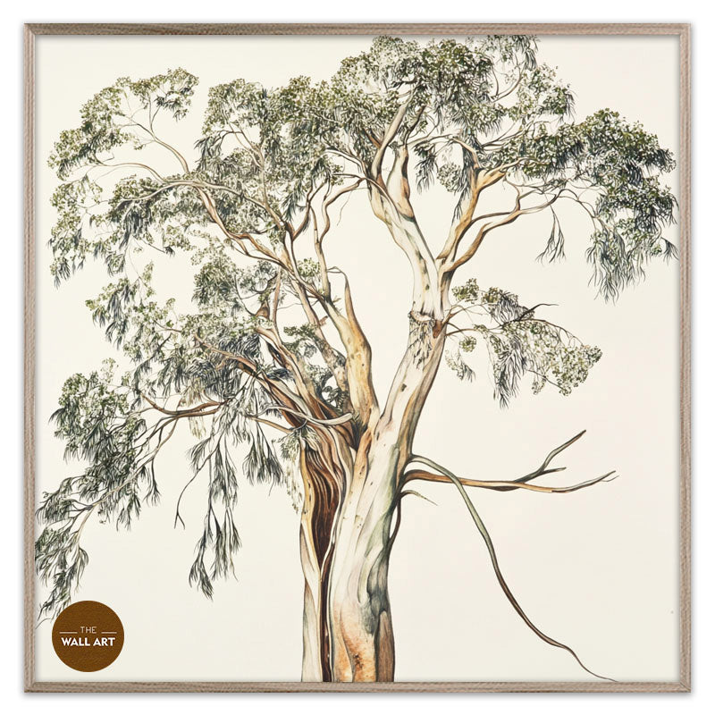 SANTALUM TREE