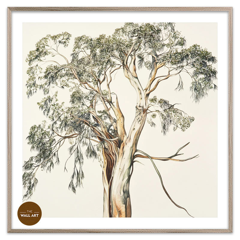 SANTALUM TREE