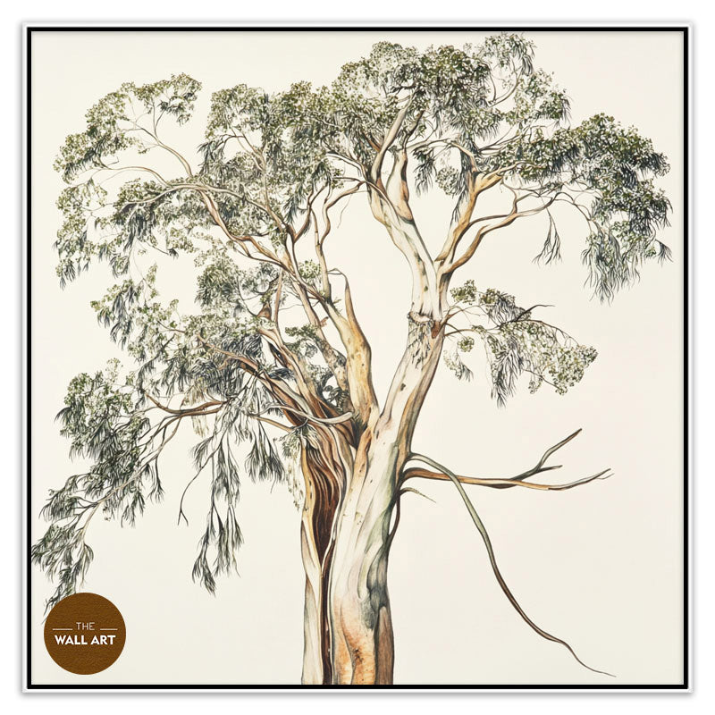 SANTALUM TREE