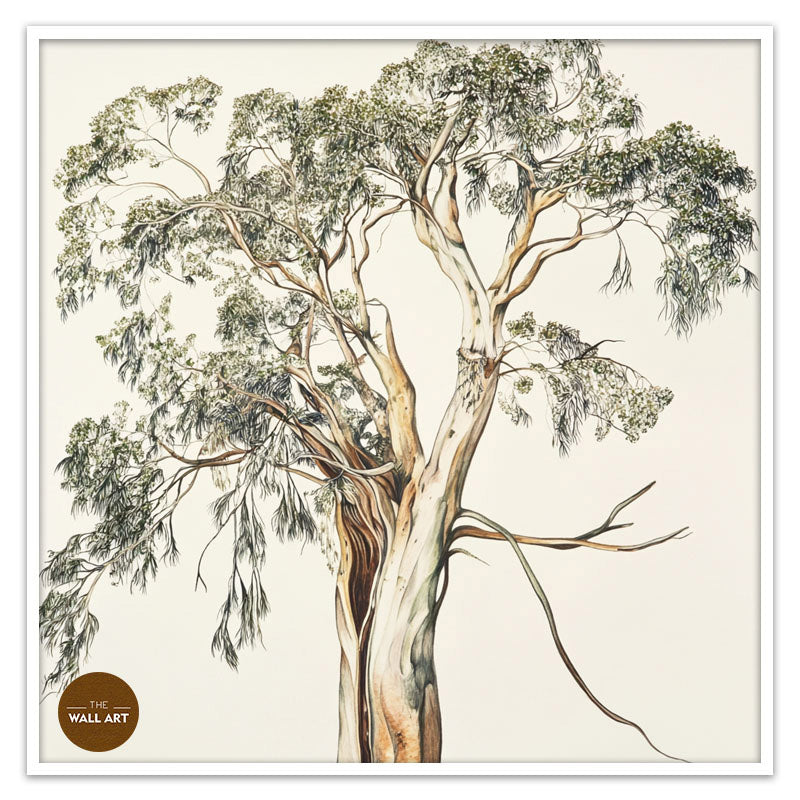 SANTALUM TREE